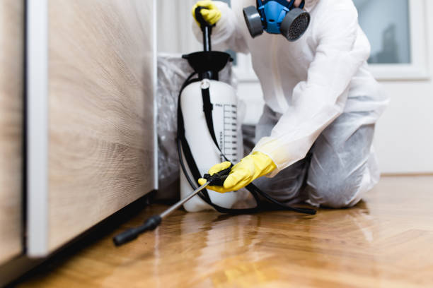 Best Pest Control Cost  in Laconia, NH