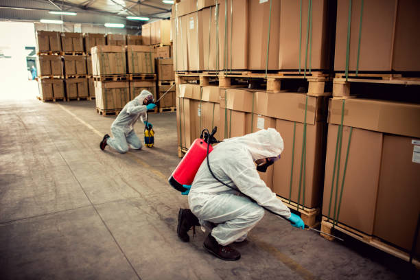 Best Pest Inspection Near Me  in Laconia, NH
