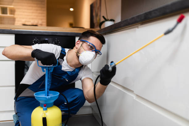 Flea Control Services in Laconia, NH