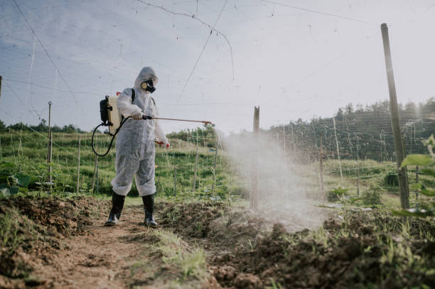 Best Pest Control for Businesses  in Laconia, NH