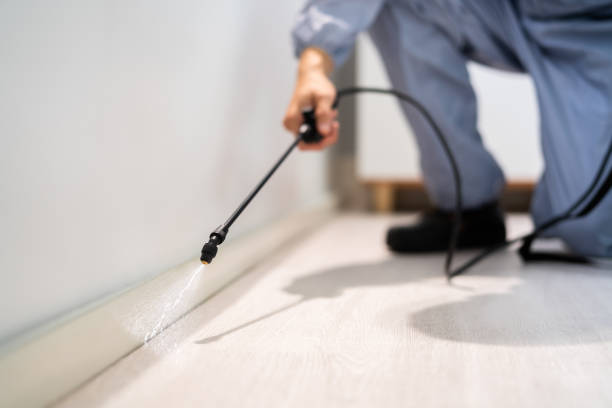 Pest Control Cost in Laconia, NH