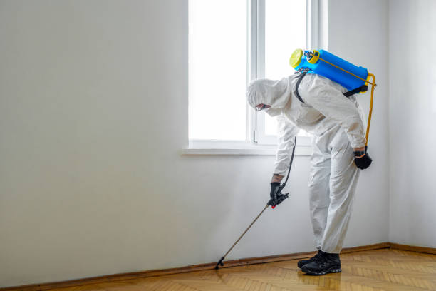 Best Affordable Pest Control Services  in Laconia, NH