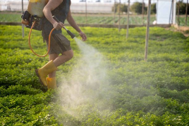 Pest Prevention Services in Laconia, NH