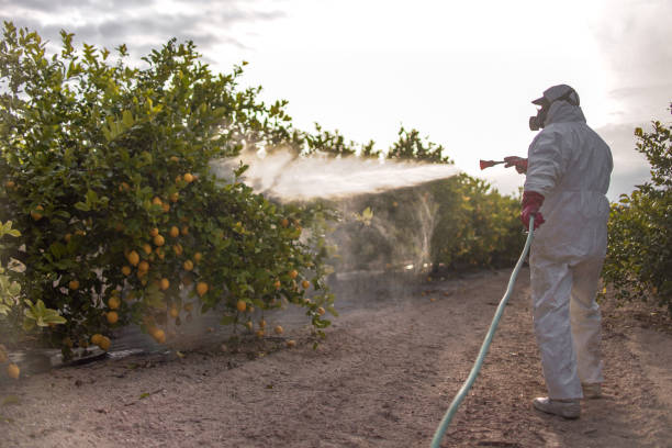 Best Pest Control Near Me  in Laconia, NH