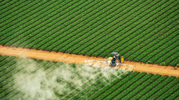 Reliable Laconia, NH Pest Control Solutions
